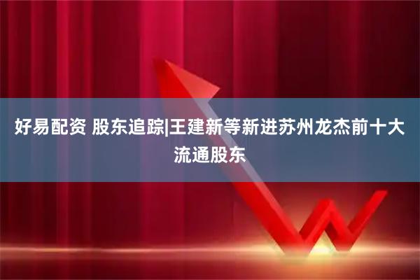 好易配资 股东追踪|王建新等新进苏州龙杰前十大流通股东