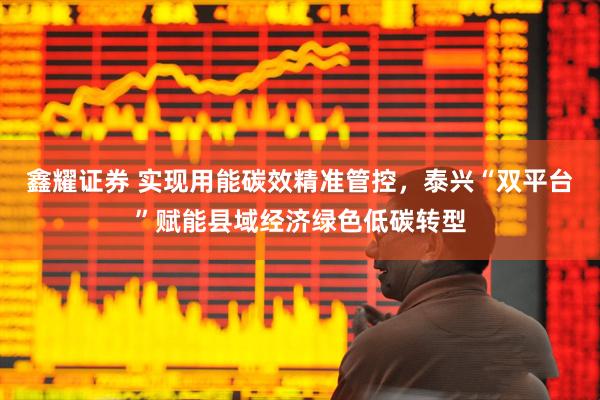鑫耀证券 实现用能碳效精准管控，泰兴“双平台”赋能县域经济绿色低碳转型